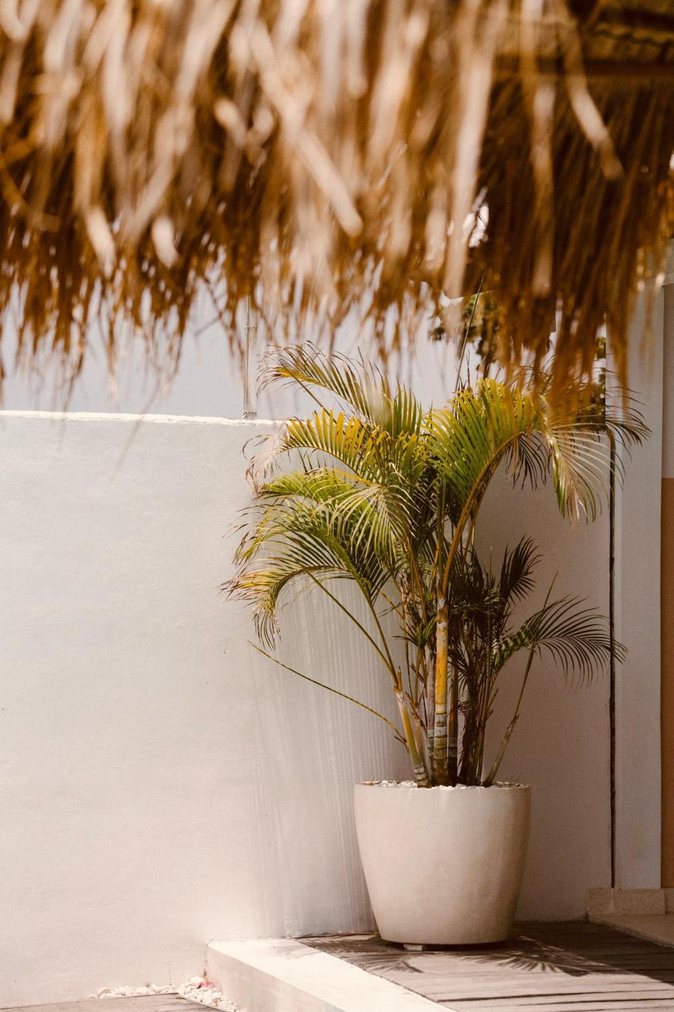 Love Song Boutique Hotel Canggu Exteriér fotografie